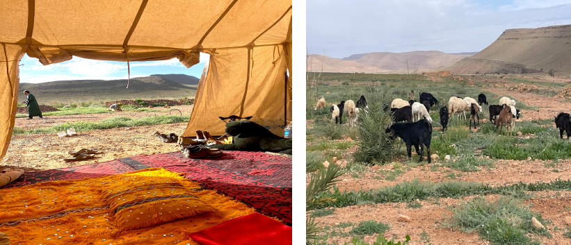 Retreat Platz und Ziegen